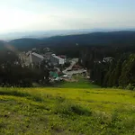 флора Private Seasons *