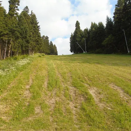 флора Private Seasons Апартаменты Боровец