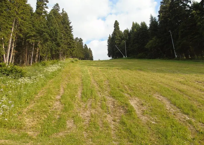 флора Private Seasons Appartamento Borovets