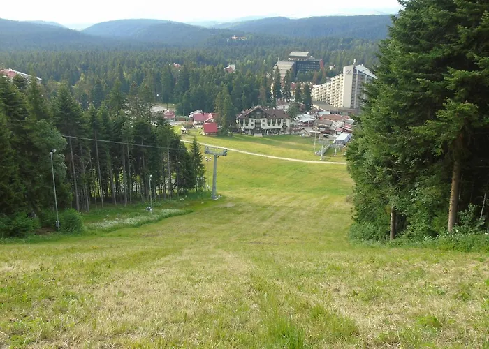 Appartamento флора Private Seasons Borovets