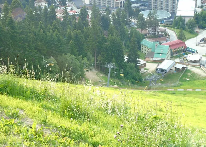 Appartamento флора Private Seasons Borovets