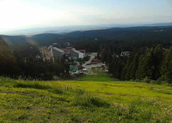 флора Private Seasons *